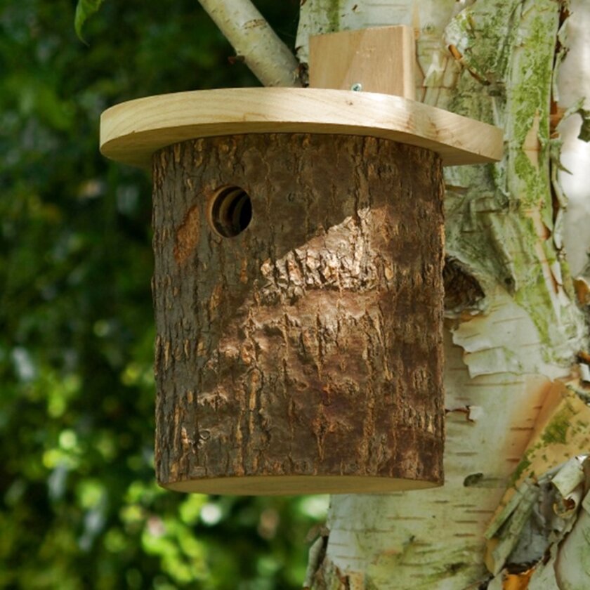 Nesting Boxes | Nest Boxes & Wildlife Watching Supplies