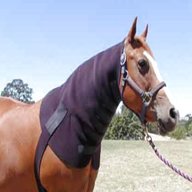 horse hoods for sale