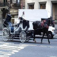 horse carriages for sale
