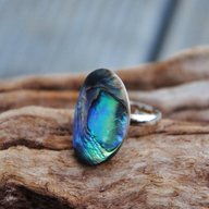 paua shell ring for sale