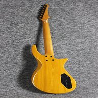 aslin dane guitar for sale