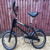 raleigh strika for sale