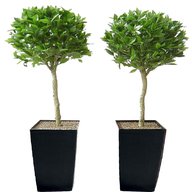 artificial potted trees for sale