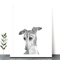 greyhound print for sale