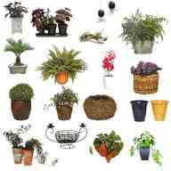 type plant pots for sale