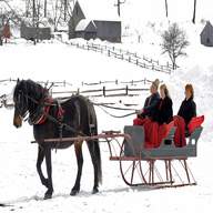 horse drawn sleigh for sale