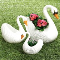 swan pot for sale
