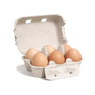 egg boxes for sale
