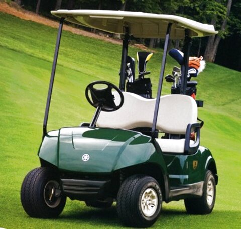 ebay golf buggy electric