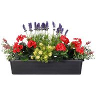 outdoor potted plants for sale