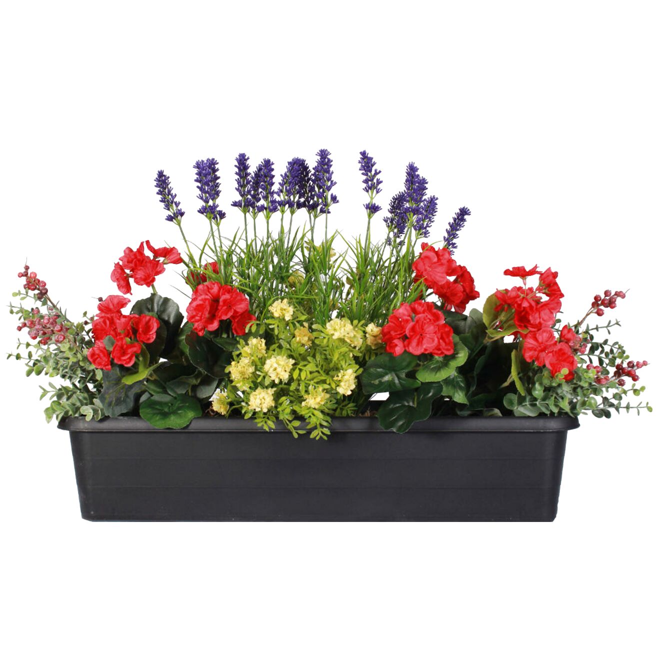 Outdoor Potted Plants for sale in UK | 84 used Outdoor Potted Plants