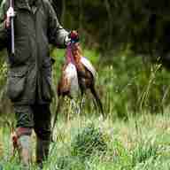 pheasant shooting for sale