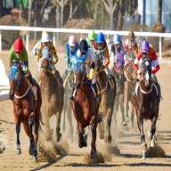 horse racing photos for sale