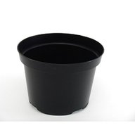 5 litre plastic plant pots for sale