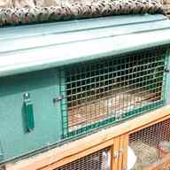 plastic guinea pig hutches for sale