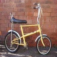 raleigh chipper for sale