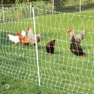 electric fence netting poultry chickens for sale