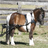 small pony harness for sale