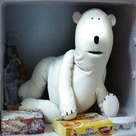 clarence polar bear for sale
