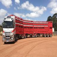 livestock transport for sale