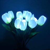 tulip lights for sale