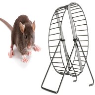 rat wheel for sale