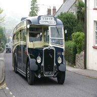 royal blue coaches for sale