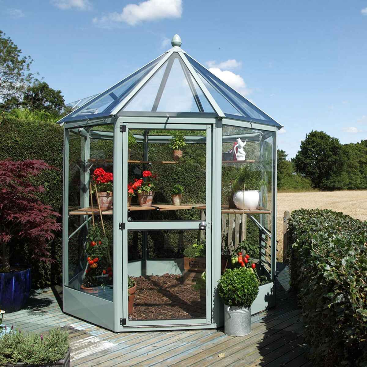 Octagonal Greenhouse  for sale  in UK View 25 bargains