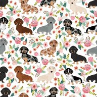 dachshund fabric for sale