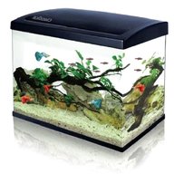 60cm fish tank for sale