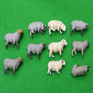 britains sheep for sale