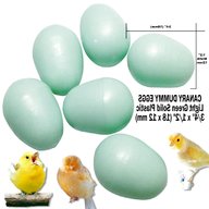 canary dummy eggs for sale