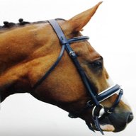 english leather bridle for sale