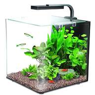 fish tank starter kit for sale