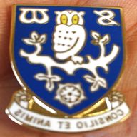 sheffield wednesday pin for sale