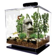 small fish tank for sale