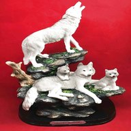 wolves memorabilia for sale