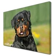 rottweiler collectables for sale for sale