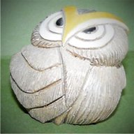 teviotdale owls for sale