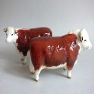 butchers bull for sale