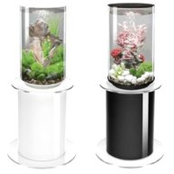 tube fish tank for sale