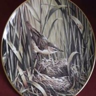 wedgwood bird plates for sale
