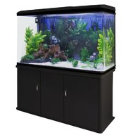 4ft fish tank aquarium for sale
