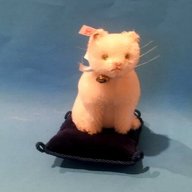 mohair cat for sale
