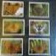 british butterflies grandee cigar cards for sale