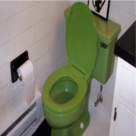 green toilet for sale