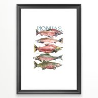 salmon framed for sale