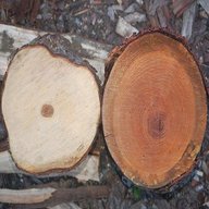 heartwood for sale