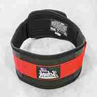schiek weightlifting belt for sale