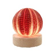 sea urchin lamp for sale